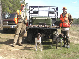 Guided and Unguided Wild Georgia Quail Hunts with Corporate Memberships and Day Hunts